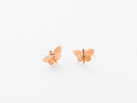 Tiny Baby Asterope Stud - Rose Gold For Cheap