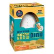 Ginormous Hatchin  Grow Dino Discount