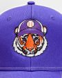 Baseball Tiger Trucker Hat For Sale