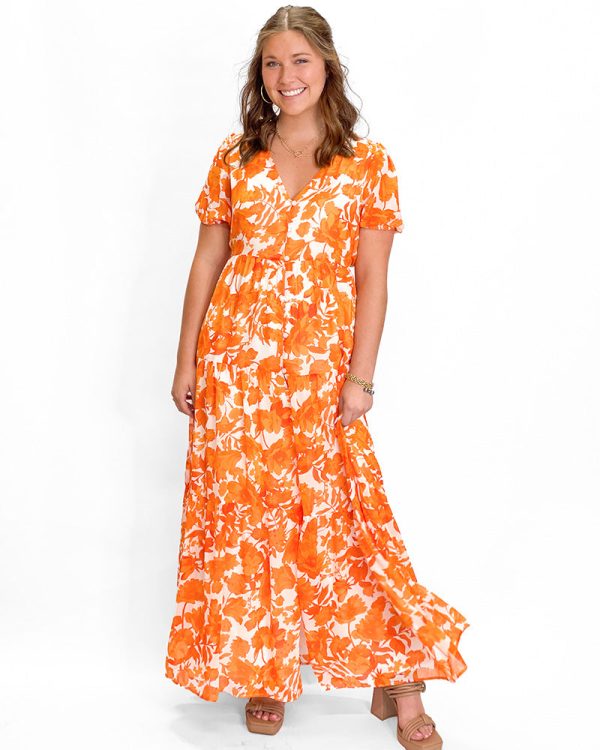 Toni Floral Maxi Dress Supply