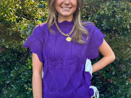 Veronica Sweater Top - Purple on Sale