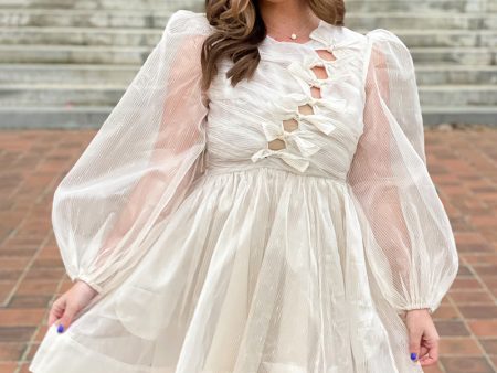 Tying the Knot Organza Dress Fashion