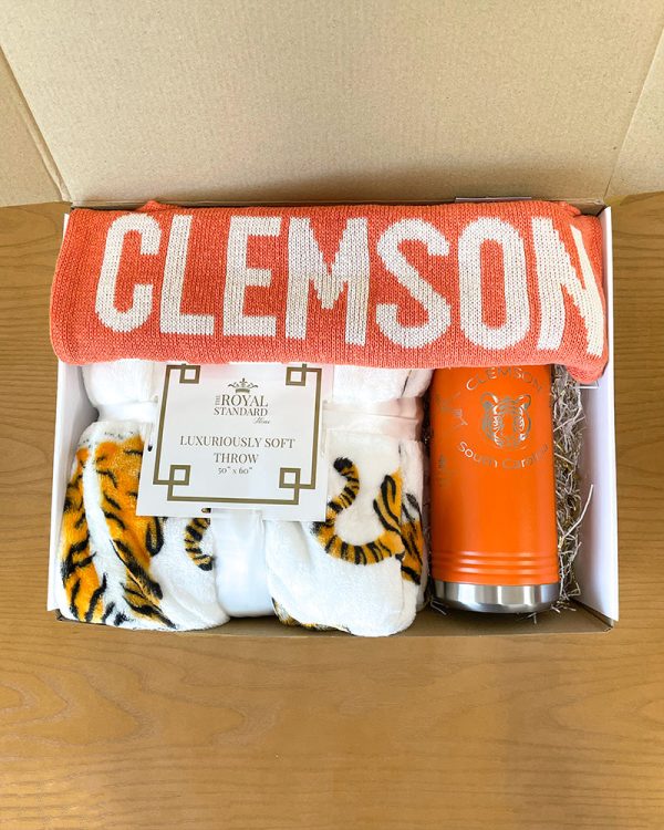 Tiger On the Go Bundle - Blanket, Tote, & Water Bottle For Discount