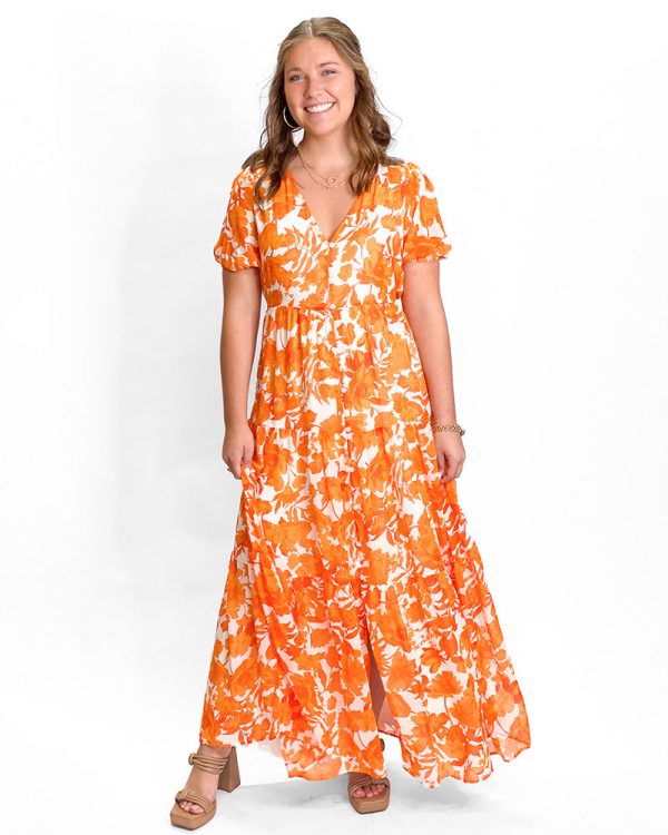 Toni Floral Maxi Dress Supply