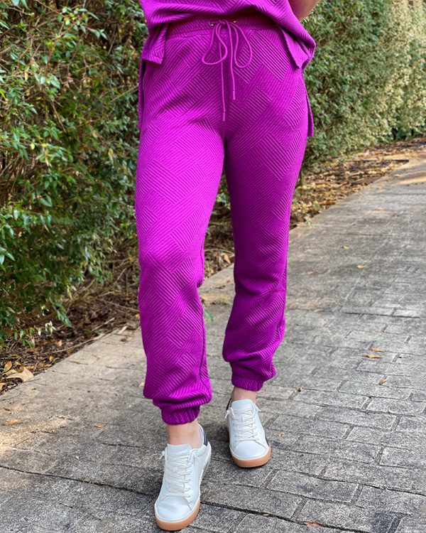 Textured Jogger Pants - Purple on Sale