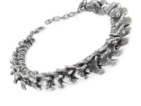 Vertebrae Bracelet by Alchemy Gothic Online Hot Sale