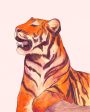 Tiger 8x10 Print by Cherry Day Art Cheap